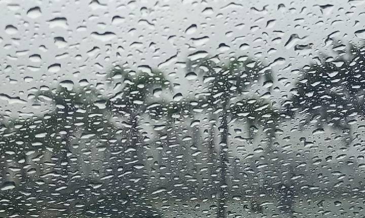 Chuva intensa e temperaturas amenas em Santa Catarina