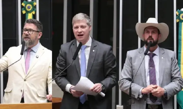 Conselho de Ética aprova suspensão de Van Hattem, Trovão e Pollon