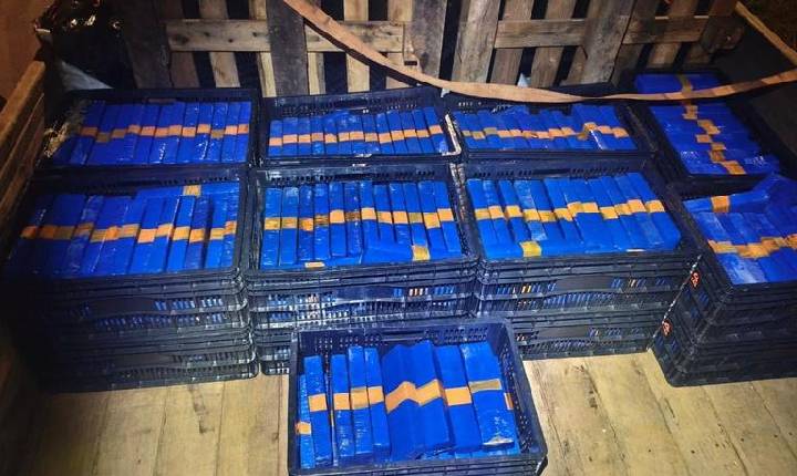 FICCO/GO apreende cerca de 1 tonelada de entorpecentes e prende três pessoas