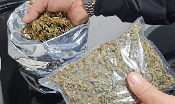 FICCO/PB combate cultivo ilícito de entorpecentes