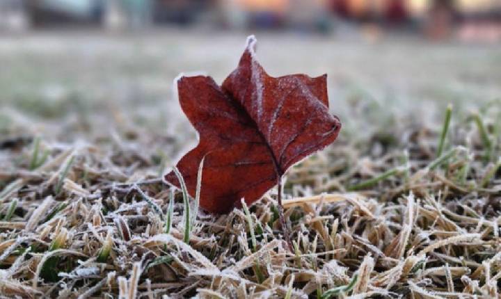 Frio intenso chega a Santa Catarina nesta quinta-feira com mínimas de -5°C