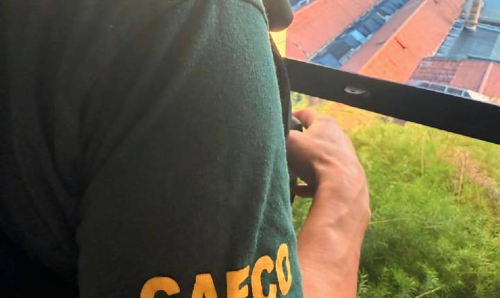 GAECO deflagra a Operação Cavalo de Tróia