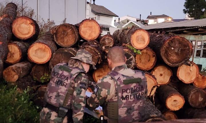 GAECO deflagra a Operação “Pinóquio”