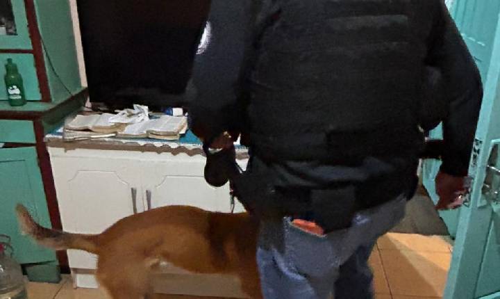 GAECO e Polícia Civil deflagram nova ação em desdobramento da 4ª fase da Operação Sodalitas Finis