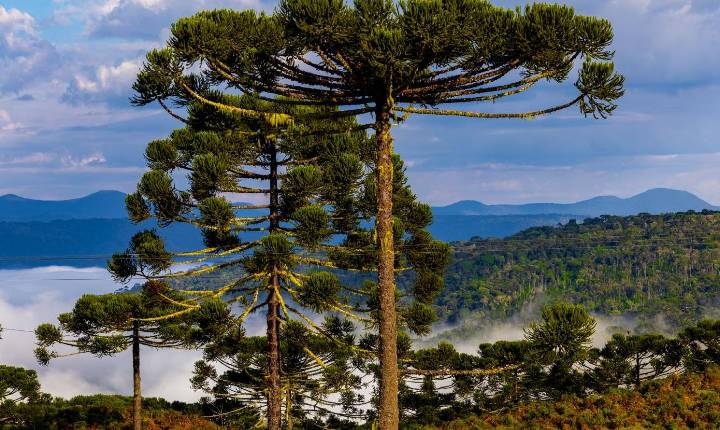 Queda nas temperaturas e chuva marcam a última semana de abril em Santa Catarina