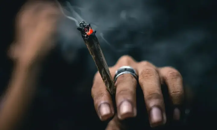 SC multa 44 todos os dias e soma 10 mil autuados por porte e uso de drogas em áreas públicas