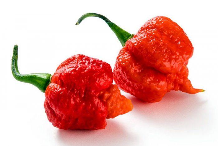 A MOBILIZAÇÃO DO MDB NA NOITE DE ONTEM NA REDE MUNDIAL DE COMPUTADORES E O PROJETO ILEGAL NA CÂMARA DE VEREADORES