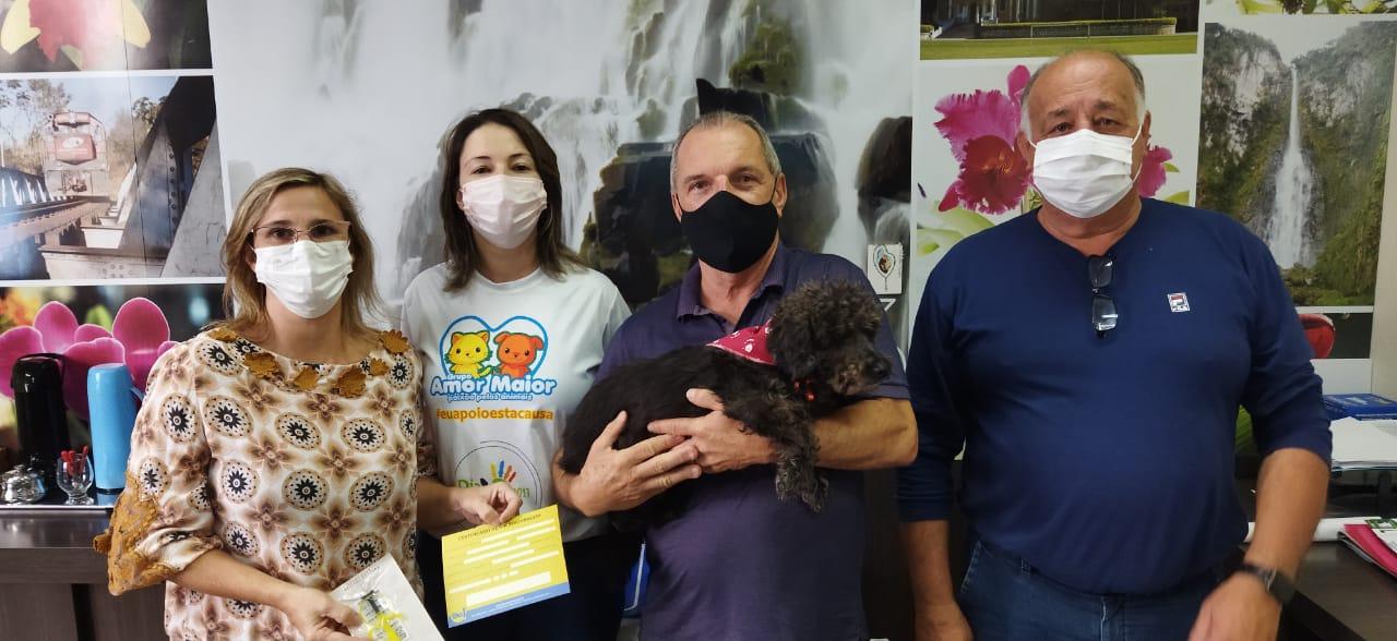 Prefeitura de Corupá continua com programa de castração