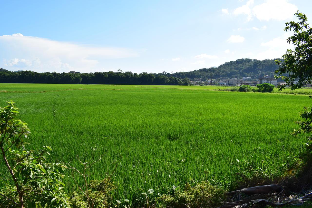 Secretaria de Agricultura começa atendimentos para regularização fundiária na próxima segunda