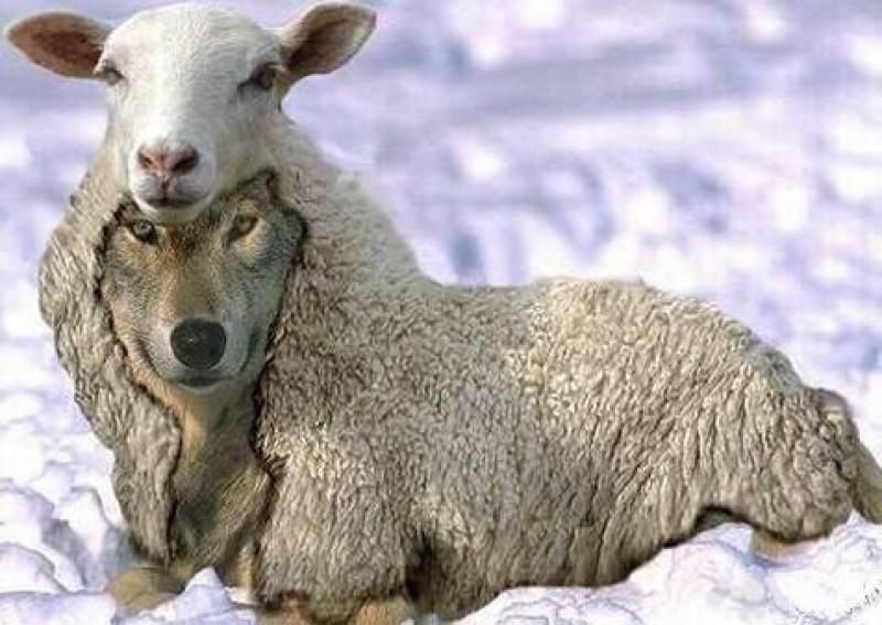 OLHE À SUA VOLTA E VERÁ COMO O MAU-CARATISMO SE REVELA