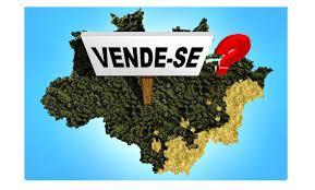 NÃO QUEREM O BEM DA AMAZÔNIA! QUEREM OS BENS...