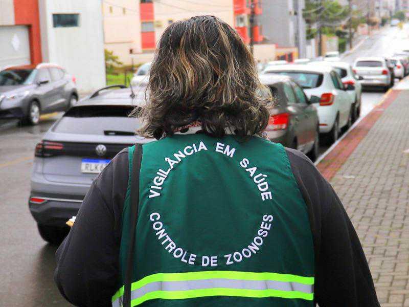 Bairro Rau está entre os bairros com mais focos de dengue em Jaraguá do Sul