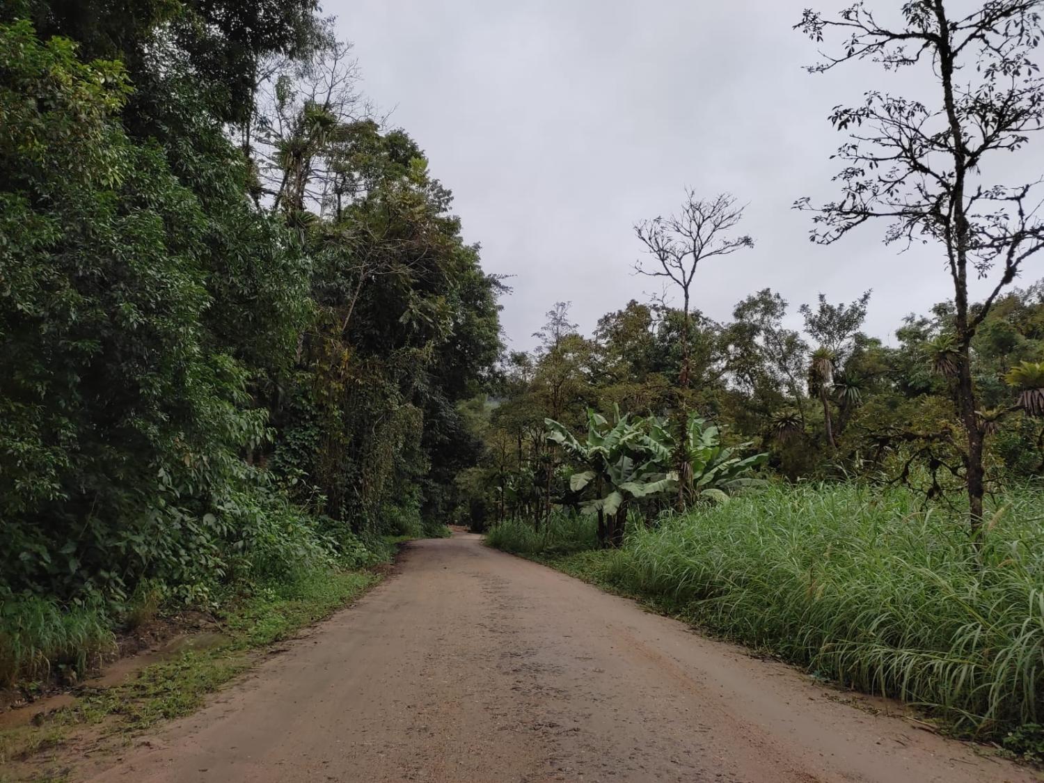 Lançada a licitação para asfaltamento da rota das cachoeiras em Corupá