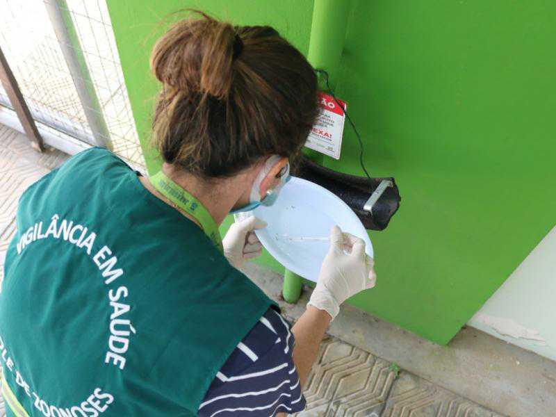 Rau segue em primeiro entre os bairros com mais focos de dengue