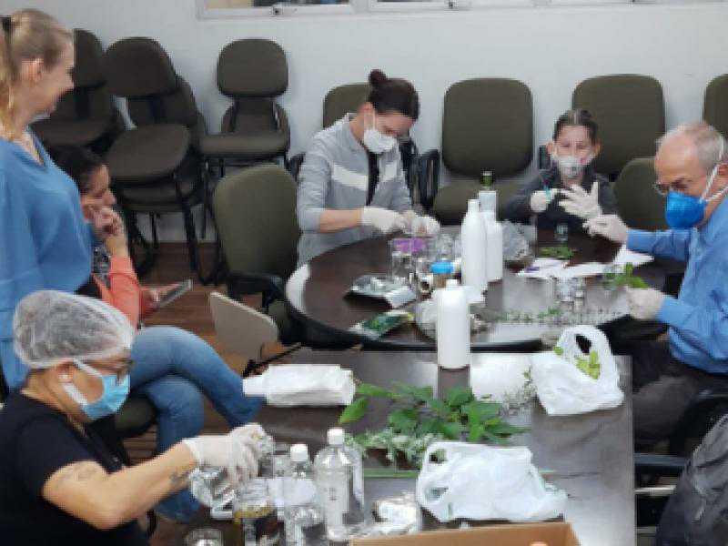 Programa de Plantas Medicinais promove Workshops mensalmente