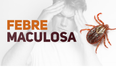 Febre Maculosa: conheça os sintomas e cuidados para prevenir a doença