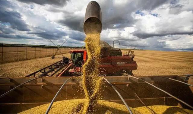 China emite regulamento para armazenamento de soja importada