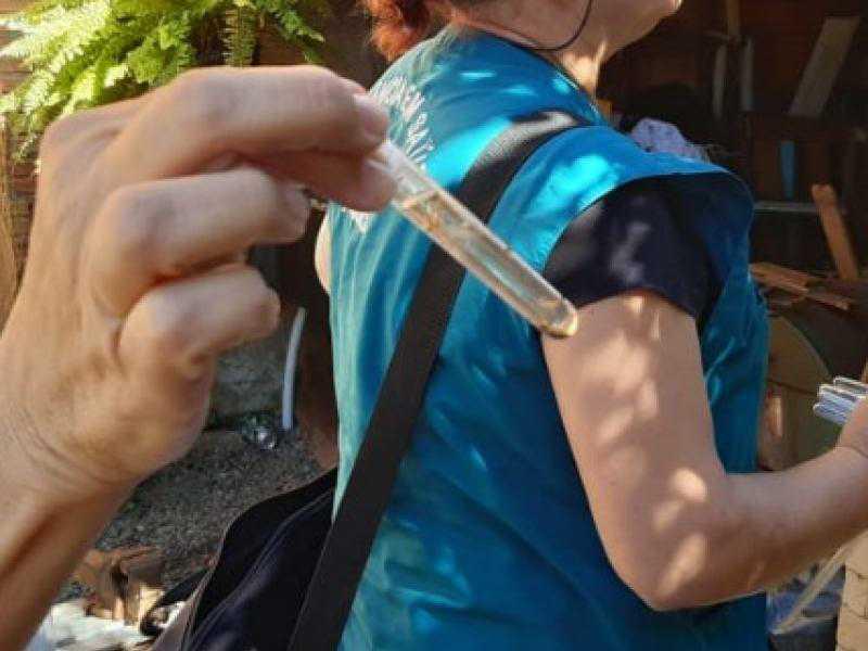 Em uma semana, seis novos casos de dengue foram registrados