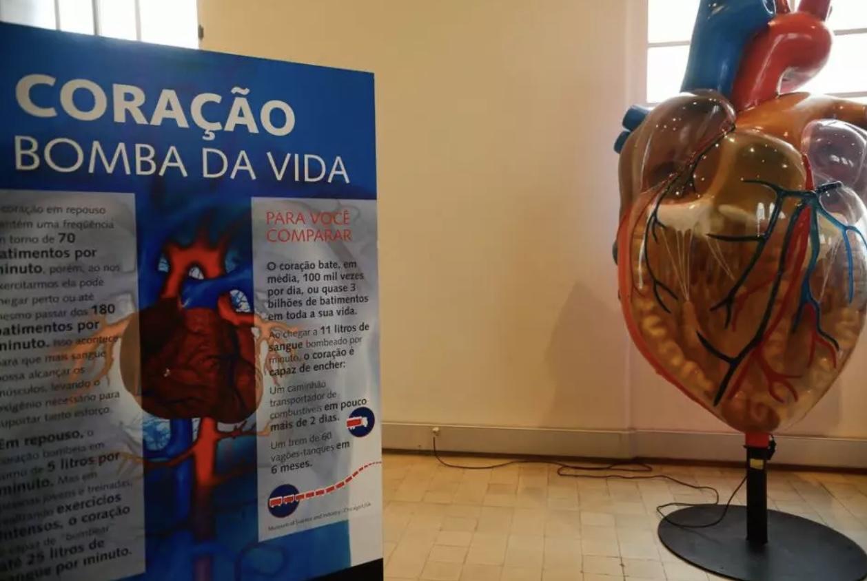 Internações por infarto aumentam mais de 150% no Brasil