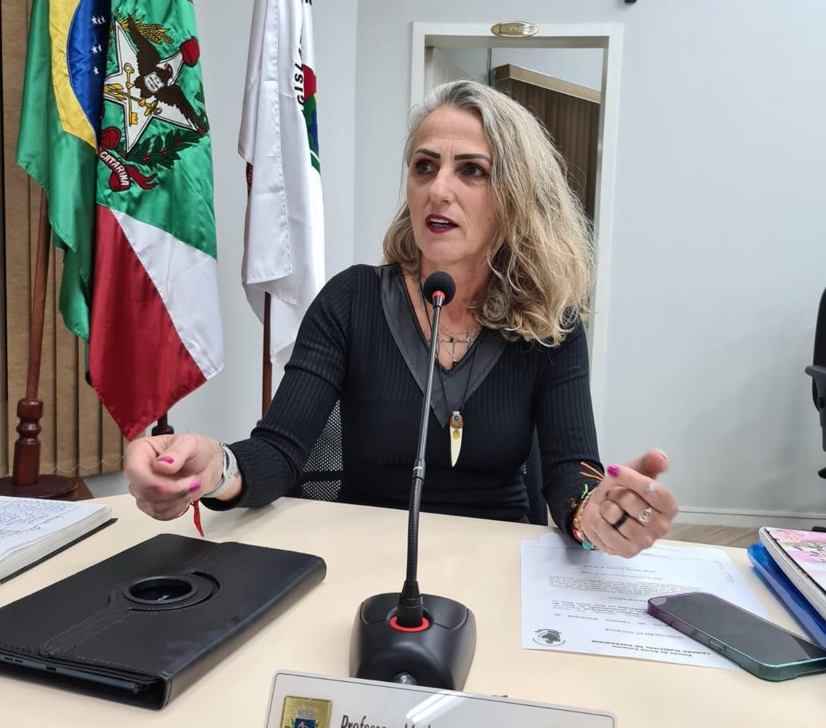 Vereadora quer sistema de monitoramento em todas as escolas estaduais de Guaramirim