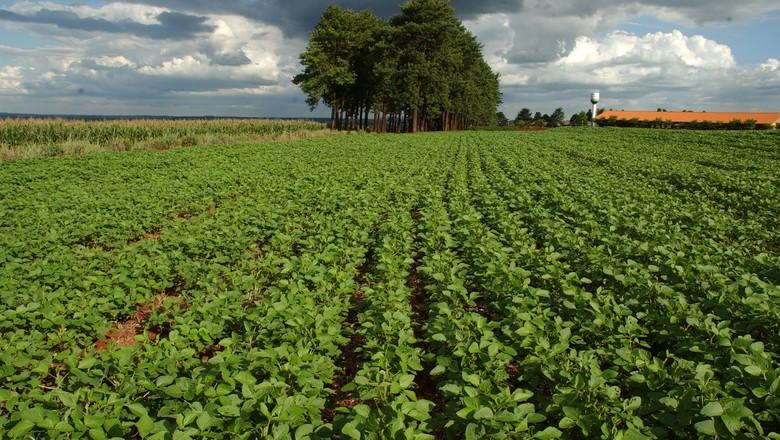 CONSEQUÊNCIAS DO MARCO TEMPORAL NO STF