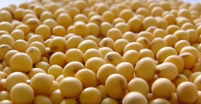 Brasil deve exportar mais de 100 milhões de toneladas de soja em 2023