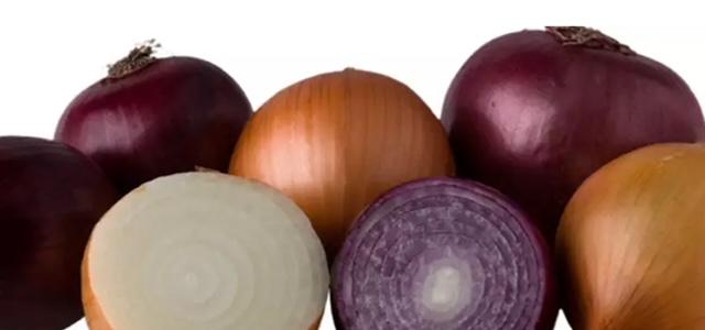 Cebola: Clima preocupa produtores do Nordeste e do Sul