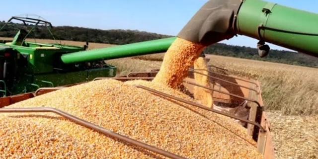 MS alcança 84,8% do plantio de soja; chuvas atrasam atividades