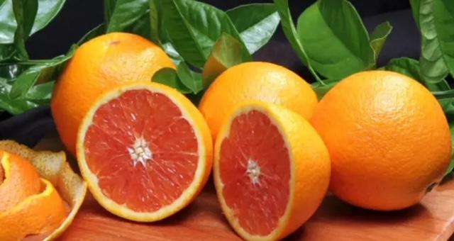 Preços da laranja em novembro atingem maior patamar da série histórica