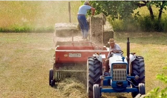 No 3º trimestre do ano, 28,5 milhões de pessoas atuam no agro brasileiro