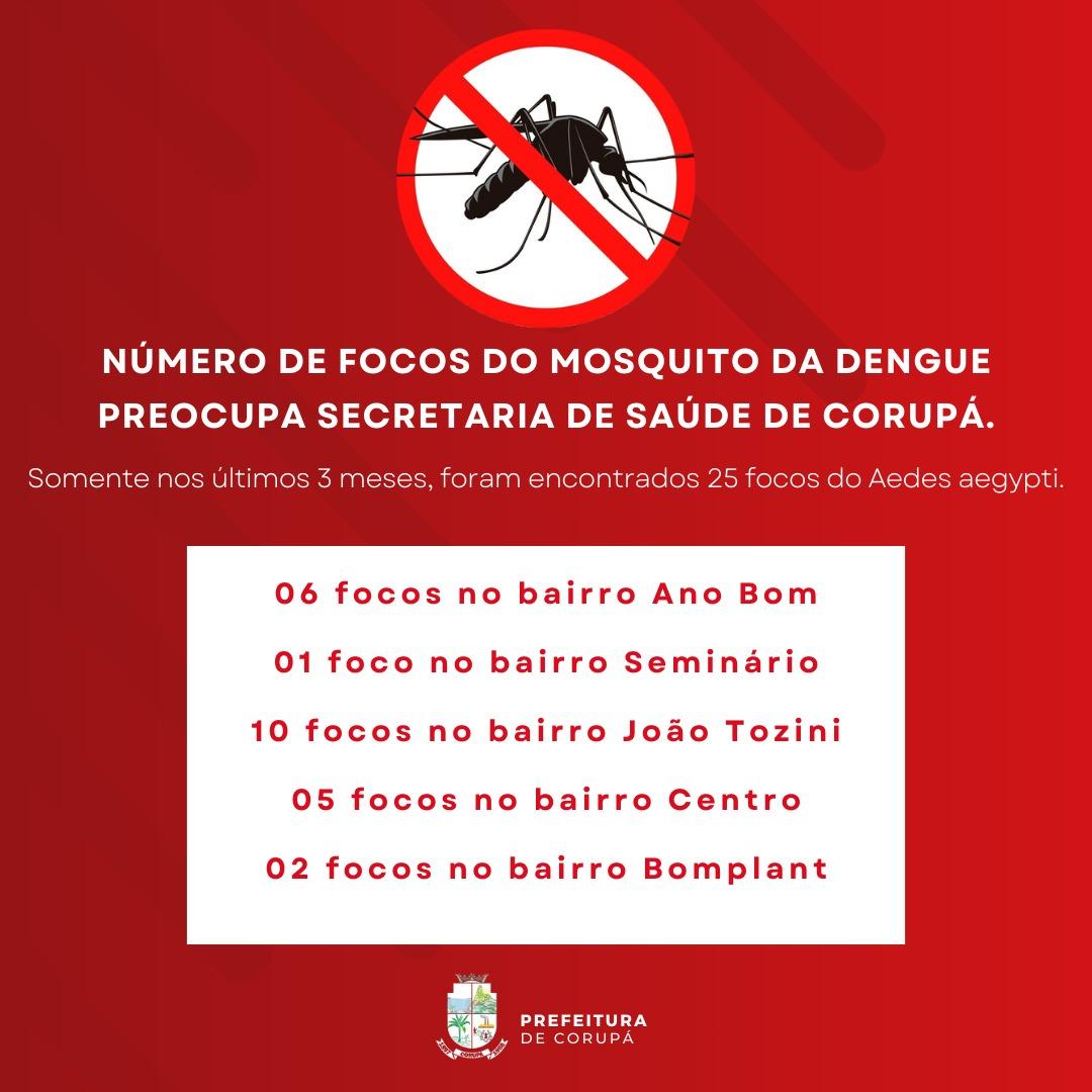 Número de focos do mosquito da dengue preocupa a Secretaria de Saúde de Corupá.