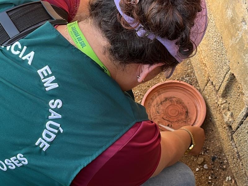 Boletim dengue: números da doença mantêm elevação