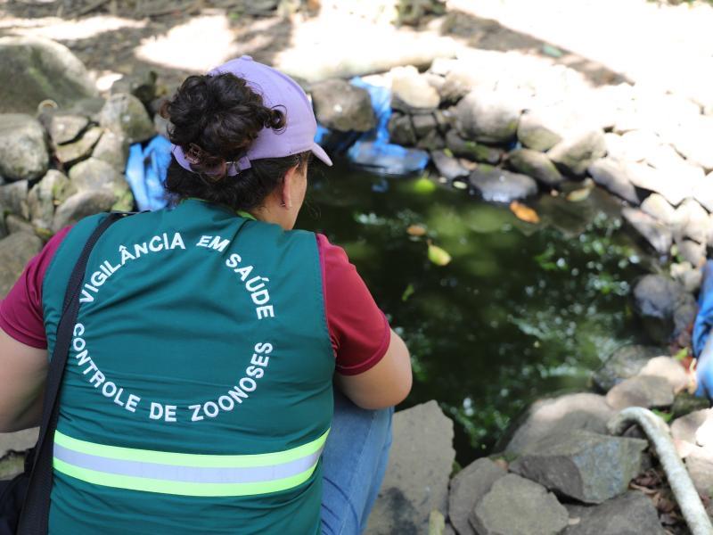 Confirmado o primeiro caso de dengue em Jaraguá do Sul