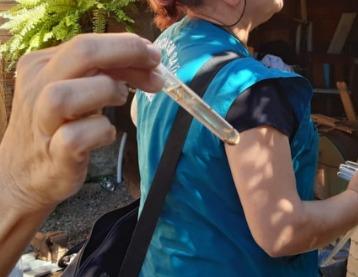 Tempo de cuidado com a dengue