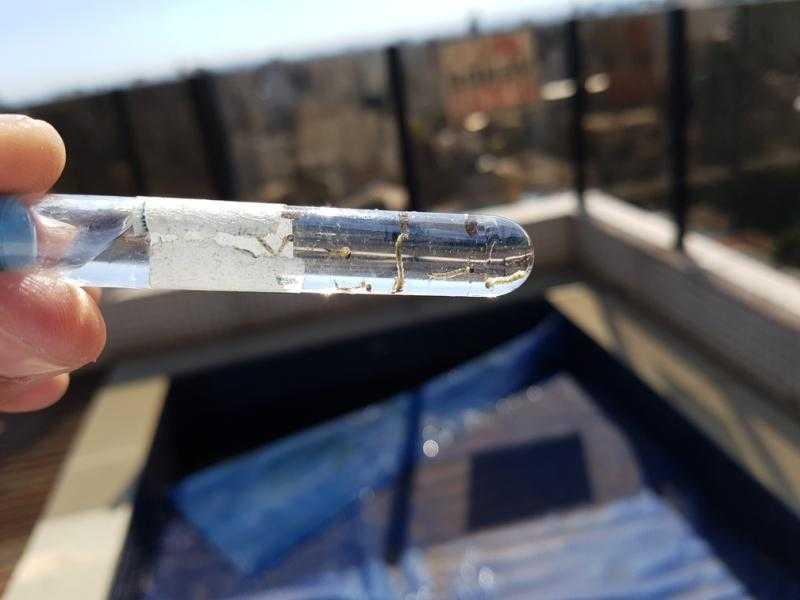 Em uma semana, o município de Jaraguá do Sul registrou 11 novos casos e 99 focos a mais