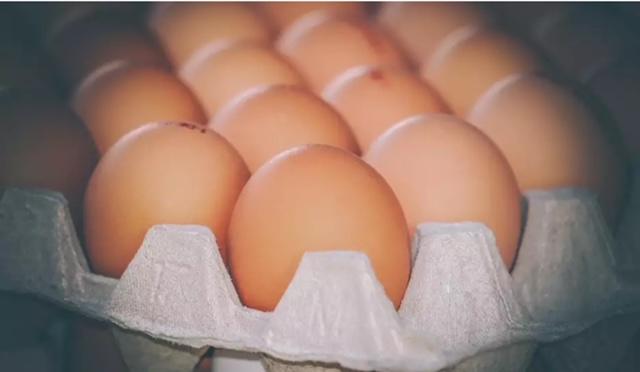 Exportação de ovos em janeiro é a maior desde agosto de 2023