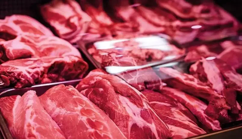Brasil bate recorde de produção e exportação de carne bovina