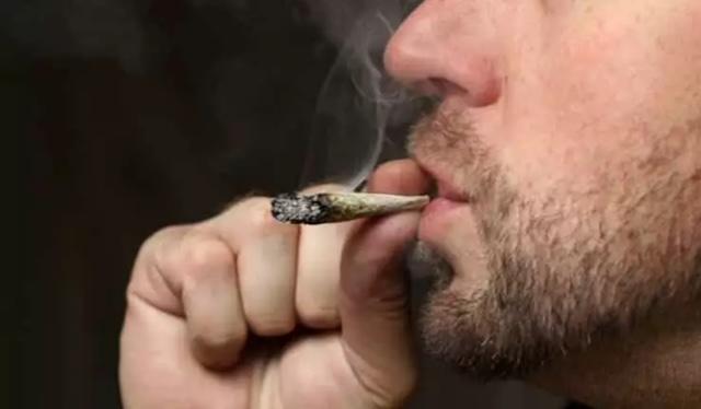 PEC DAS DROGAS ESTÁ DE VOLTA