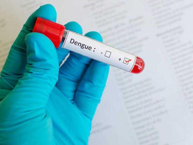 Confirmado o 7º óbito relacionado à dengue em Jaraguá do Sul