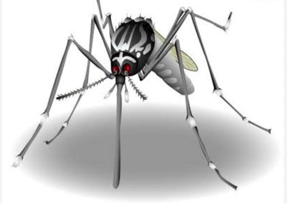 Jaraguá do Sul registra 979 casos confirmados em quatro dias