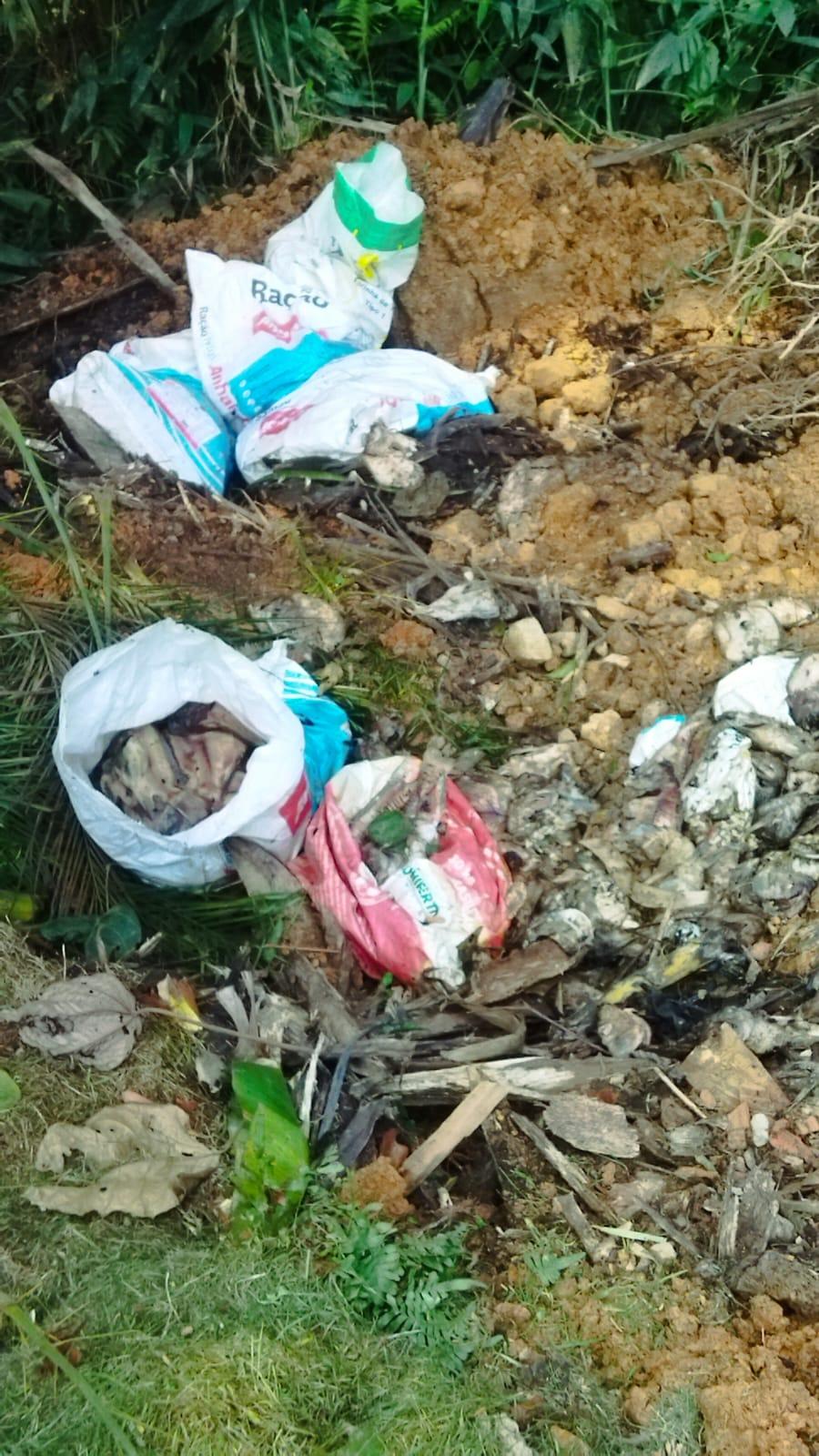 Vigilância Sanitária de Corupá investiga descarte e carcaças de peixes
