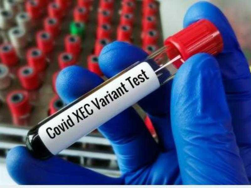 Jaraguá do Sul confirma dois casos da nova variante da covid-19