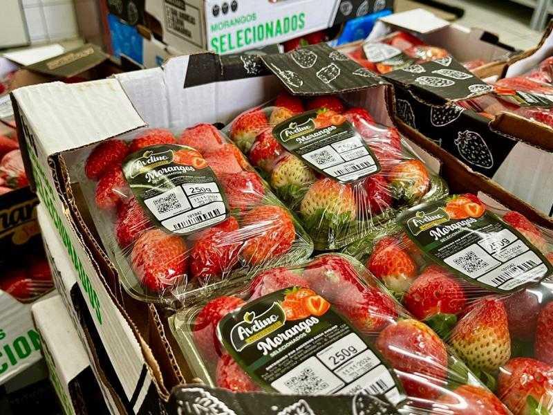 Fiscalização repassa produtos apreendidos para entidades assistenciais