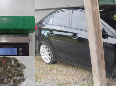 Ocorrência de Violência Doméstica e Tráfico de Drogas em Guaramirim