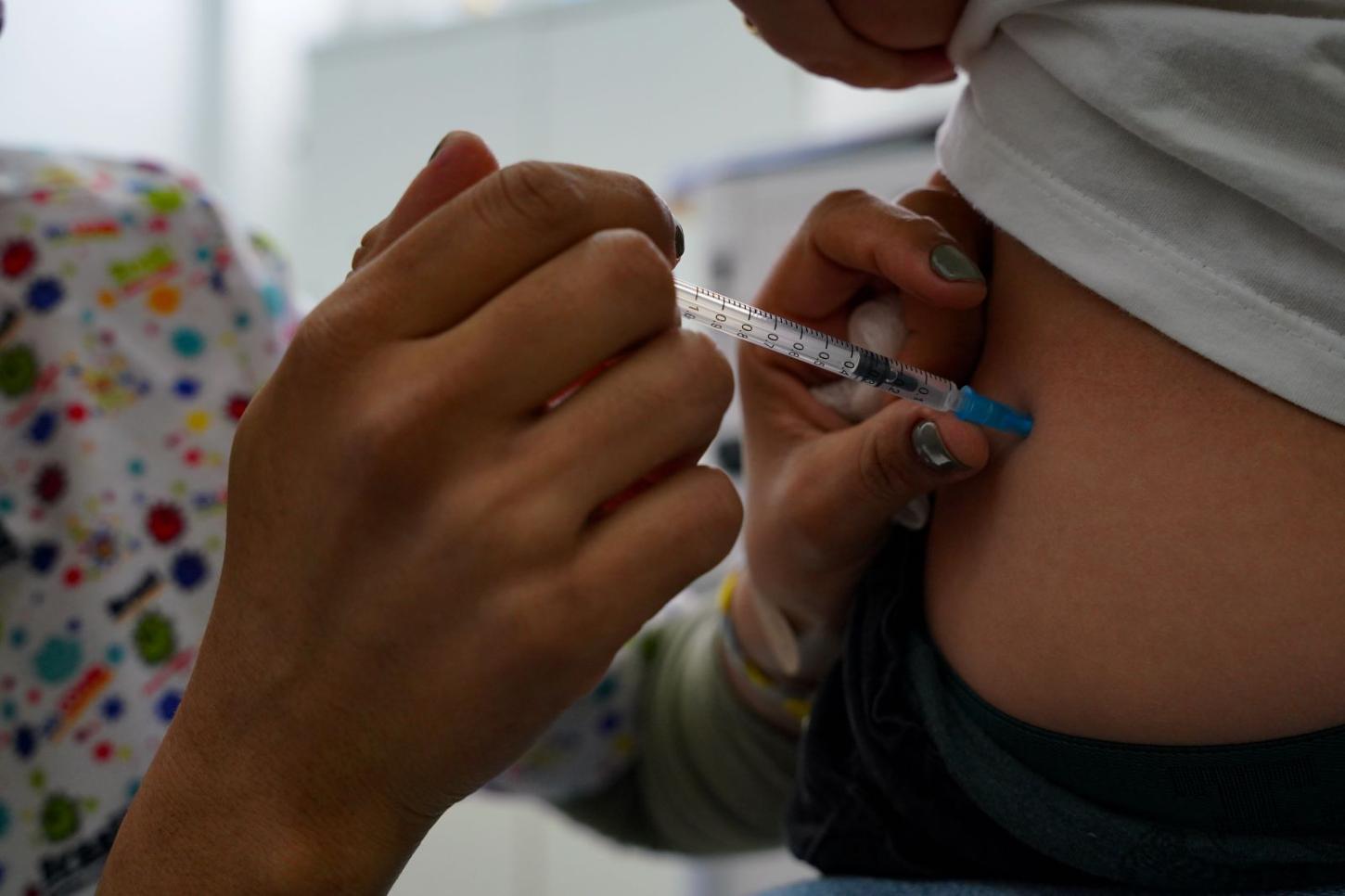 Santa Catarina define estratégia da campanha de vacinação contra a gripe