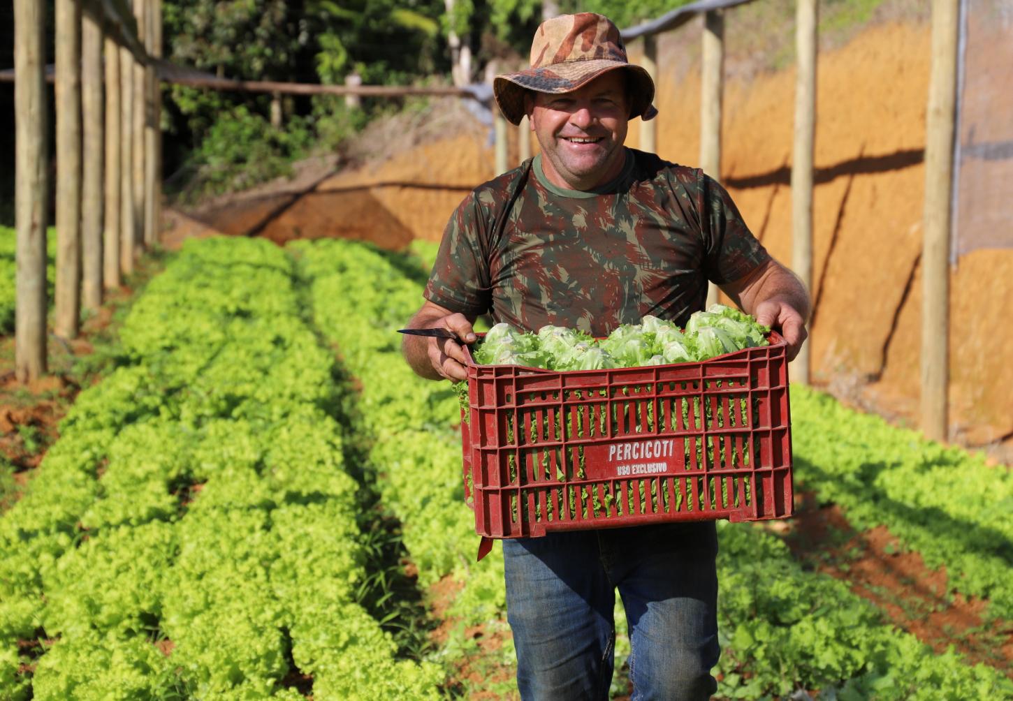Frutas e hortaliças também vão à escola em Jaraguá do Sul