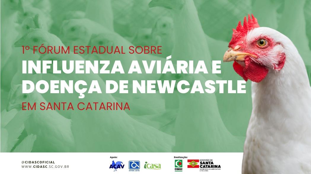 Santa Catarina promove o 1º Fórum Estadual sobre Influenza Aviária e Doença de Newcastle nesta terça