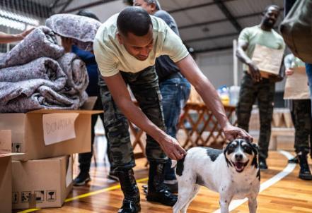 Decreto Municipal institui o Selo “Empresa Amiga dos Animais”
