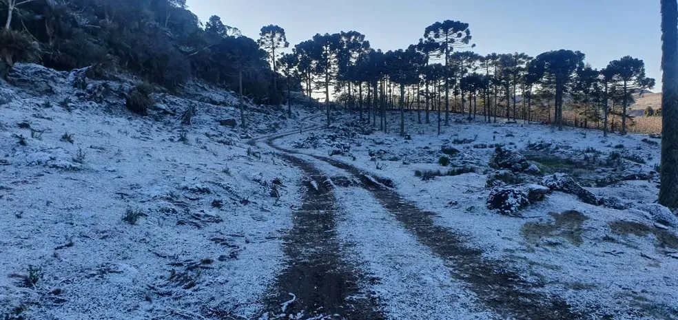 Proteção e Defesa Civil de Santa Catarina emite alerta vermelho para o frio intenso no estado