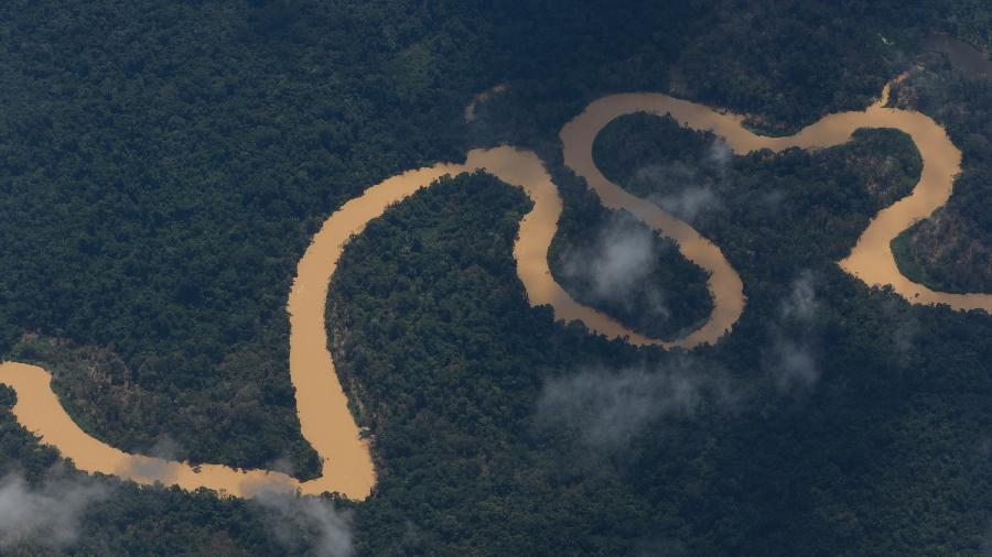 TCU suspende pagamentos a ONG ligada ao PT que limpava terra yanomami